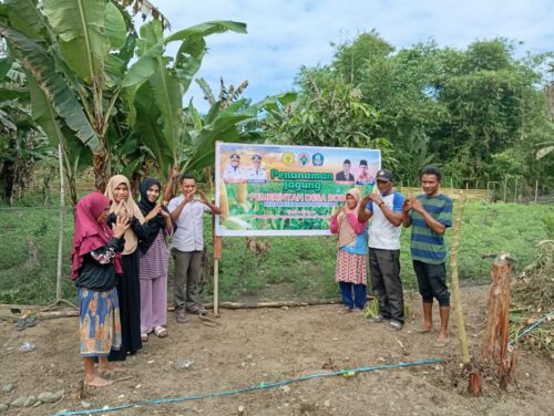 Warga Desa Bobo bersama pemerintah desa melakukan penanaman jagung seluas 1 hektar di Kecamatan Mandioli Utara, Halsel.